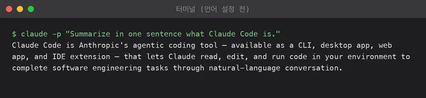 언어 설정 전, 영어 질문에 영어로 답하는 터미널 화면